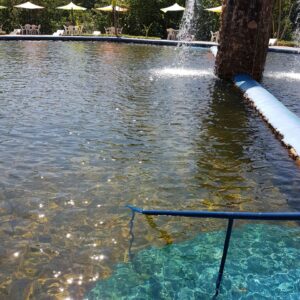 WhatsApp Image 2017-03-29 at 23.06.25 (1)